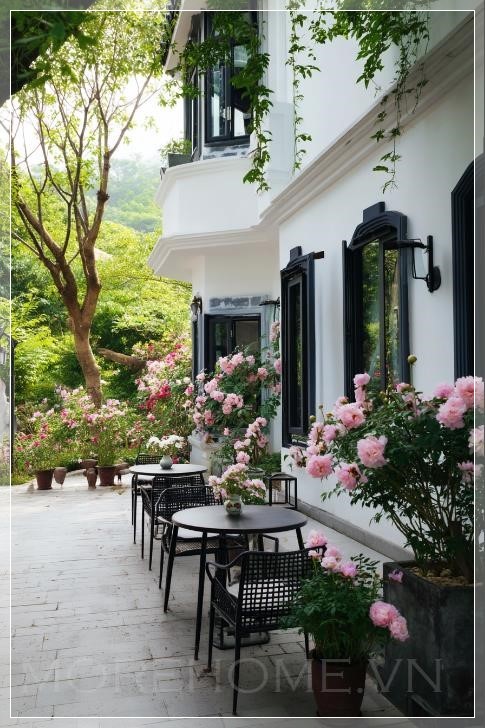  Khu sân vườn được trồng hoa hồng trên diện tích rộng, phía trước cửa là bộ ghế sofa và bàn theo phong...